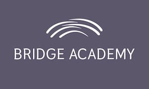 Bridge Academy (360x180).jpg